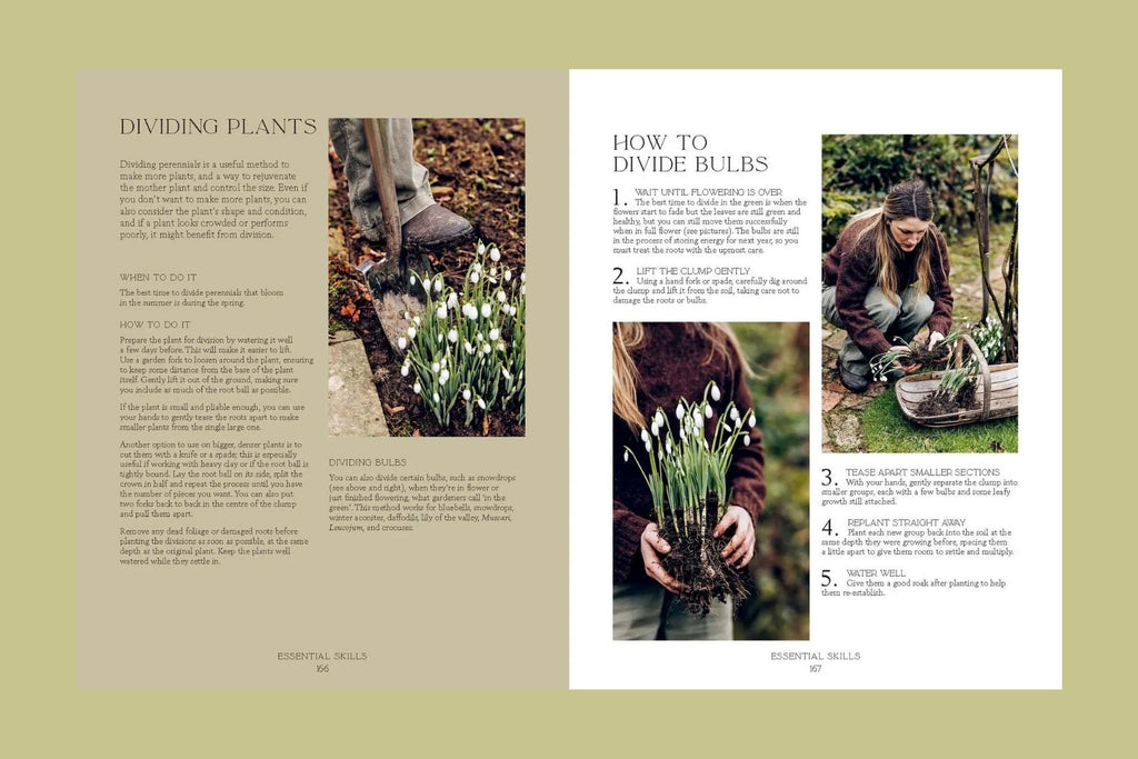 How Does Your Garden Grow?