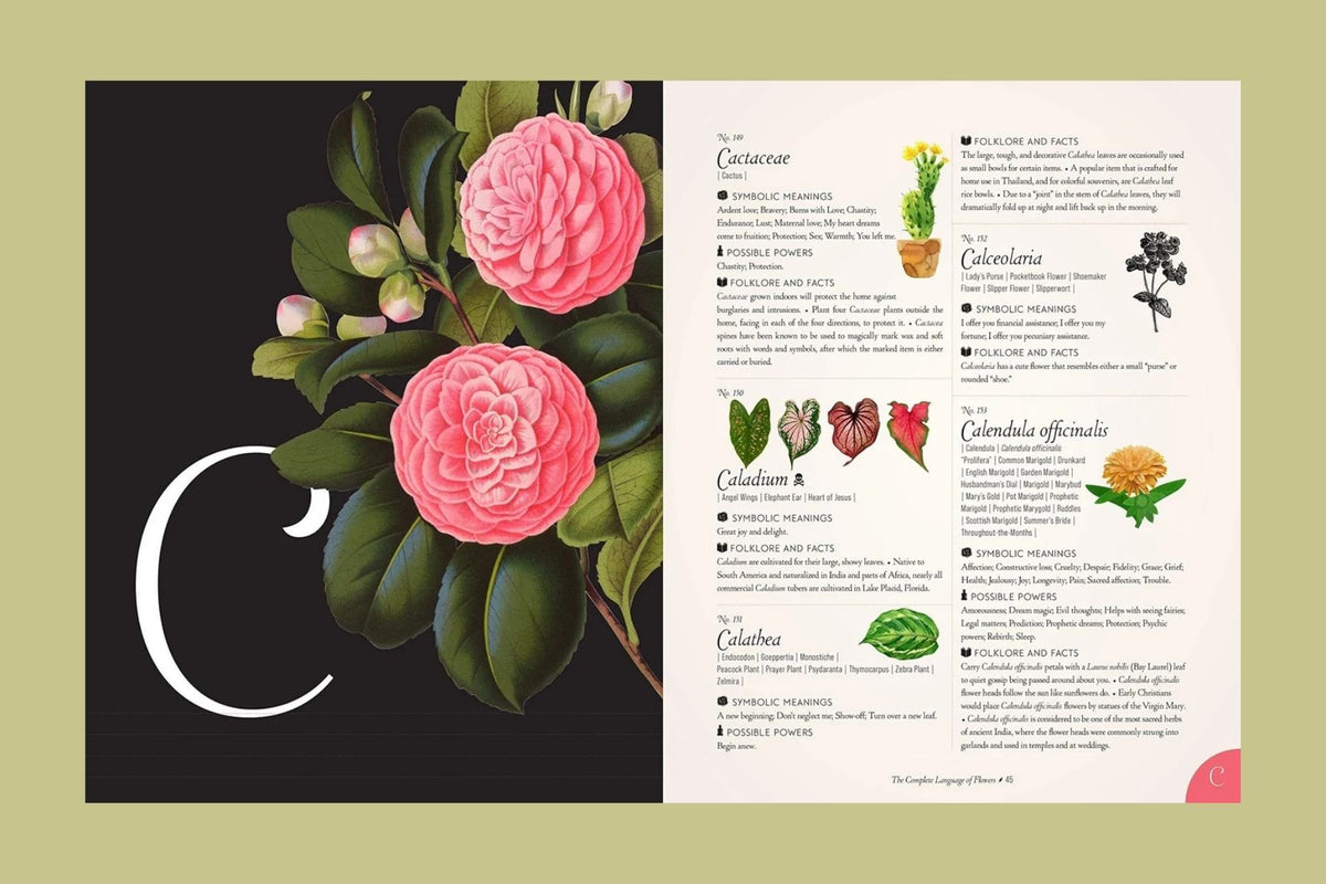 The Complete Language of Flowers