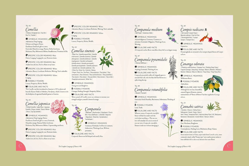 The Complete Language of Flowers