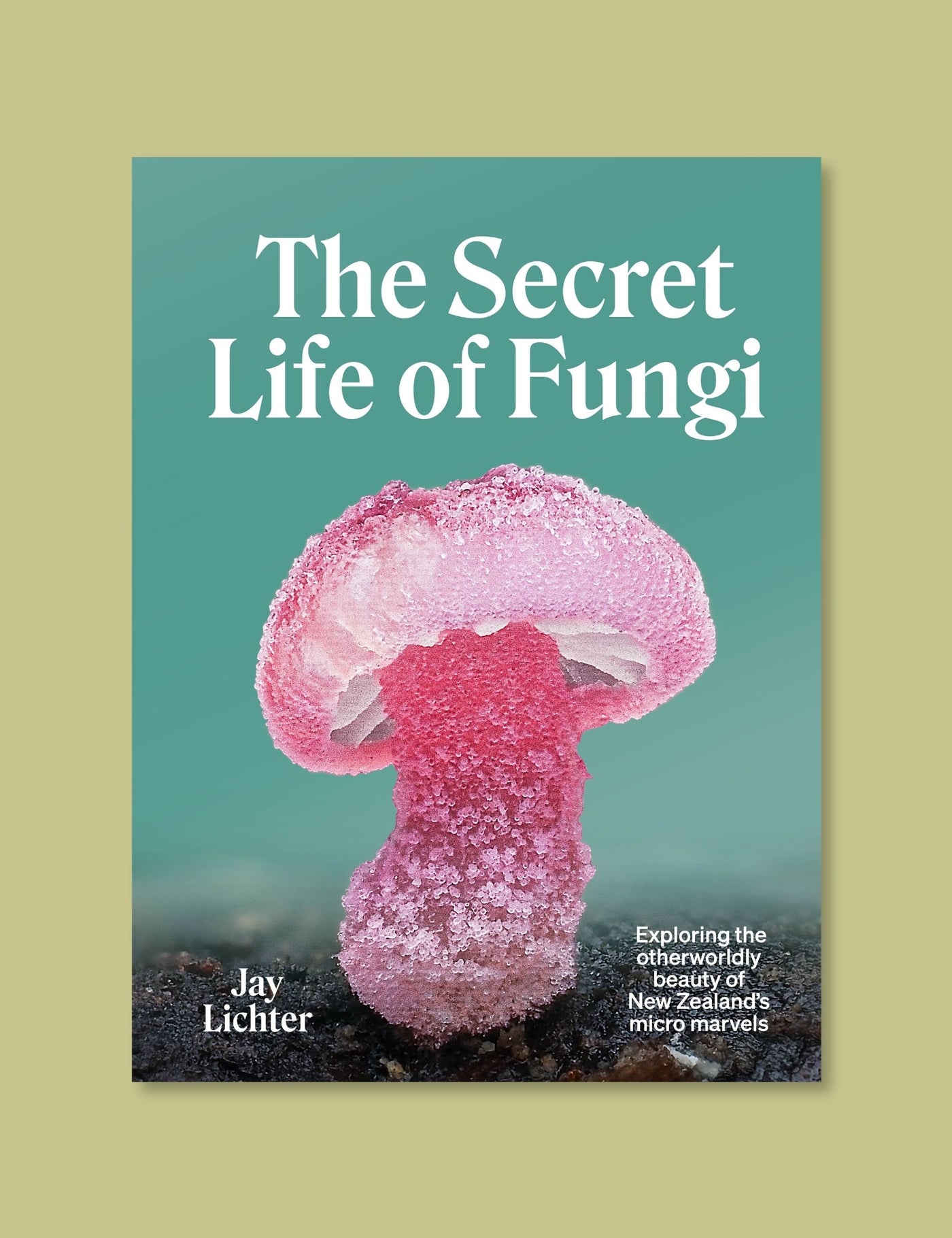 The Secret Life of Fungi