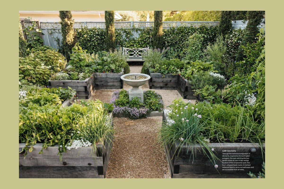 The Food Forward Garden