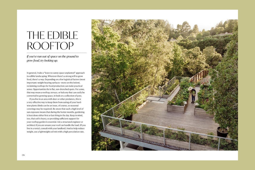 The Food Forward Garden
