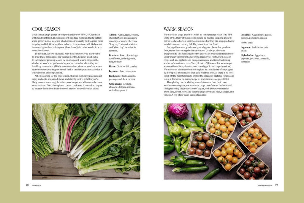 The Food Forward Garden