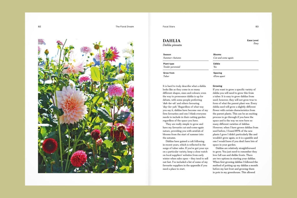 The Floral Dream