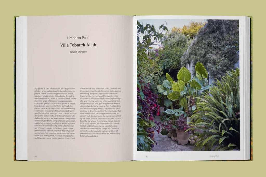 PRE-ORDER Into the Garden
