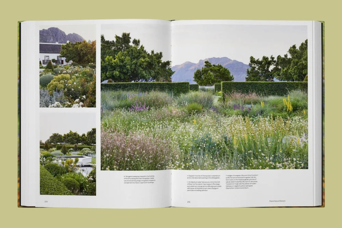 PRE-ORDER Into the Garden