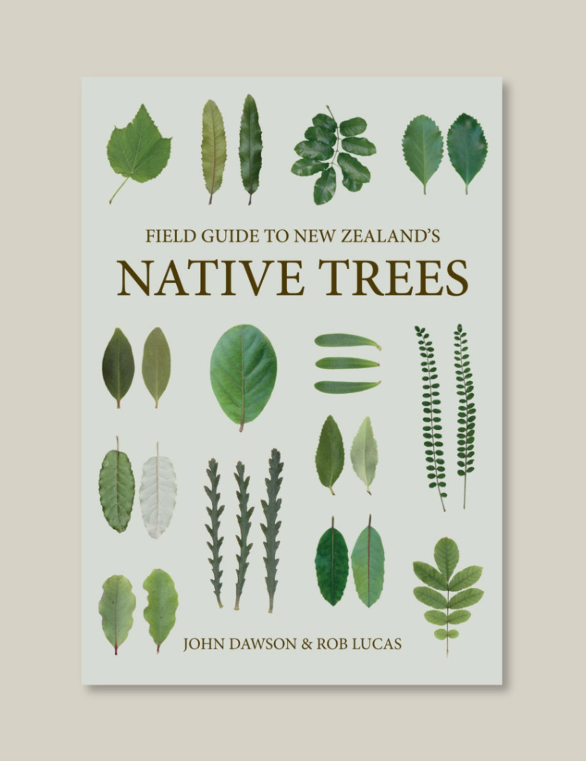 Field Guide to New Zealand’s Native Trees