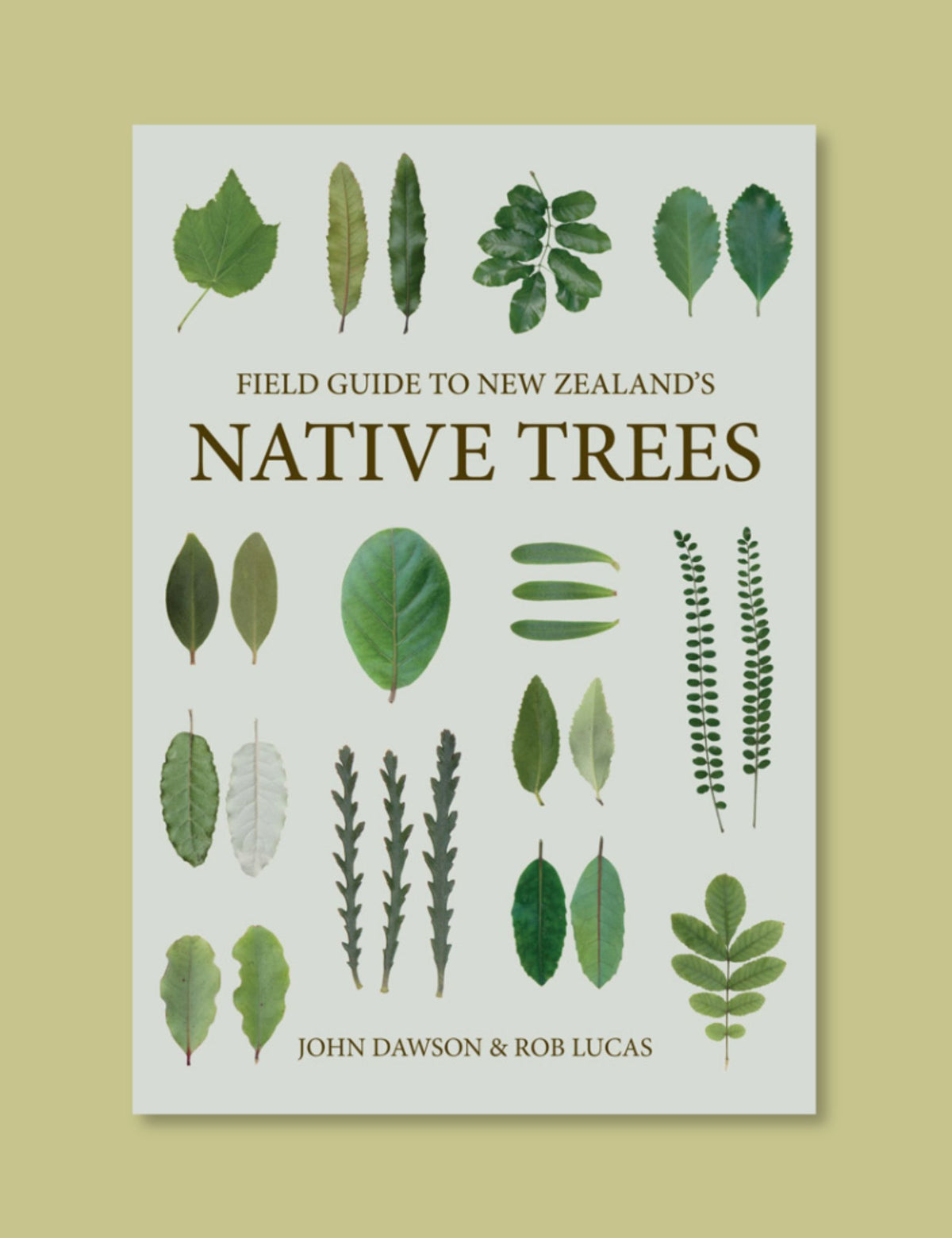 Field Guide to New Zealand’s Native Trees