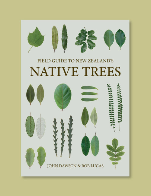 Field Guide to New Zealand’s Native Trees