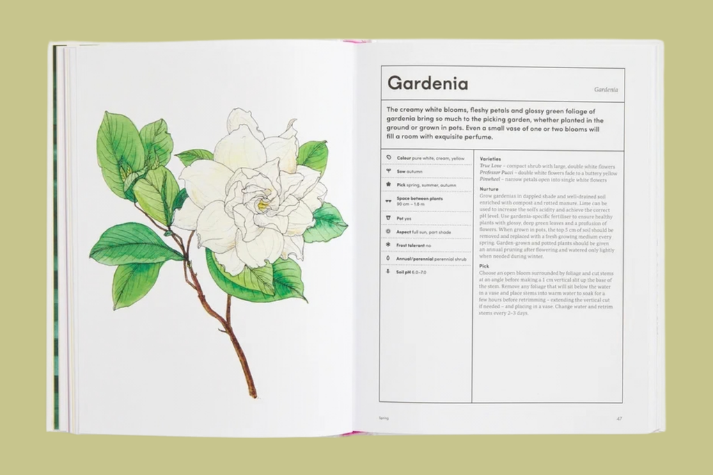 The Picking Garden