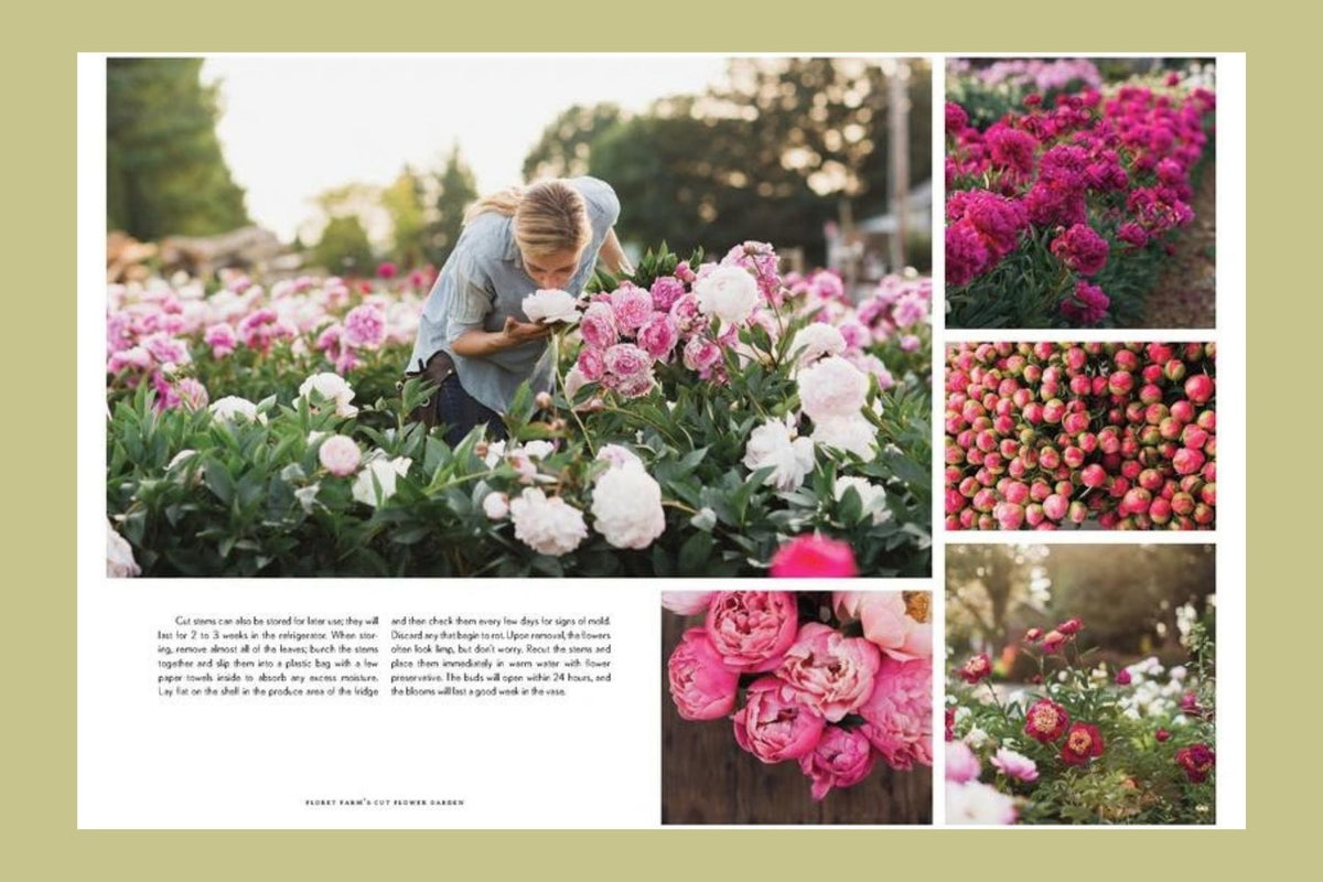 Floret Farm's Cut Flower Garden