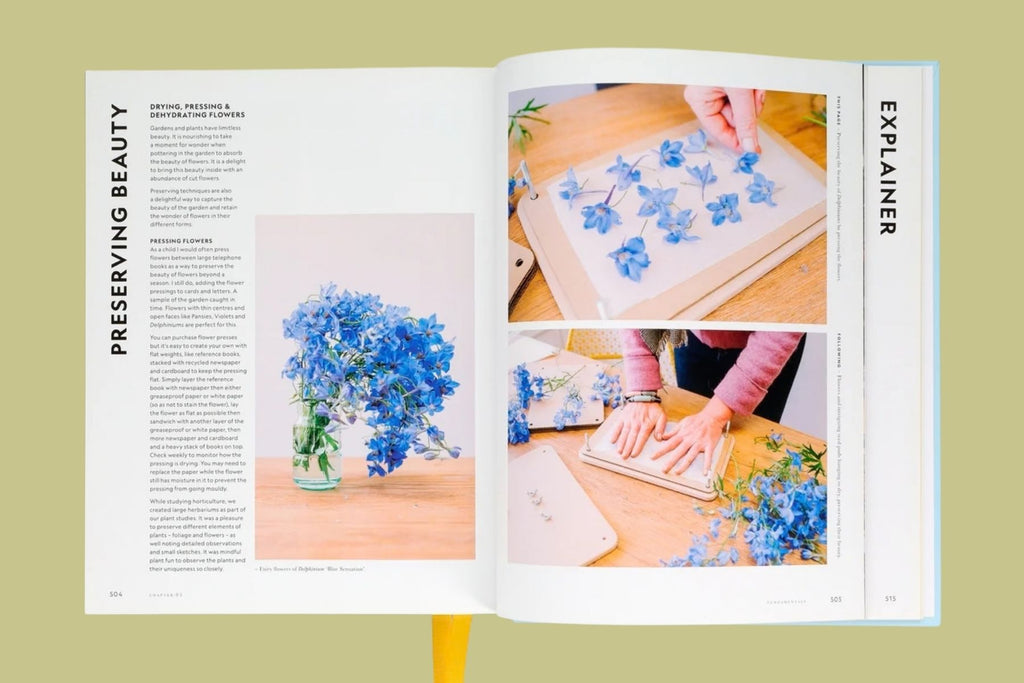 Super Bloom: A Field Guide to Flowers for Every Gardener