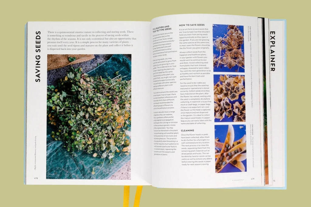 Super Bloom: A Field Guide to Flowers for Every Gardener