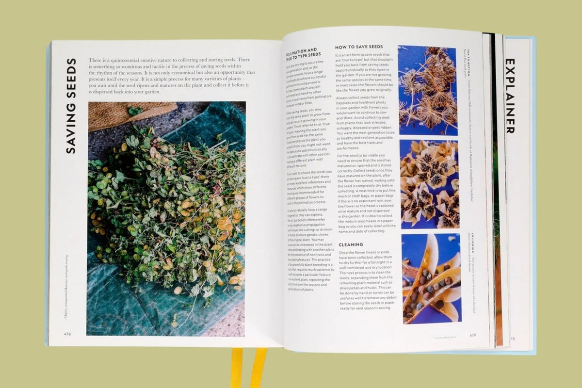Super Bloom: A Field Guide to Flowers for Every Gardener