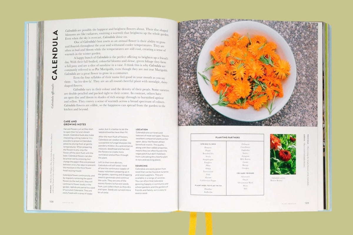 Super Bloom: A Field Guide to Flowers for Every Gardener
