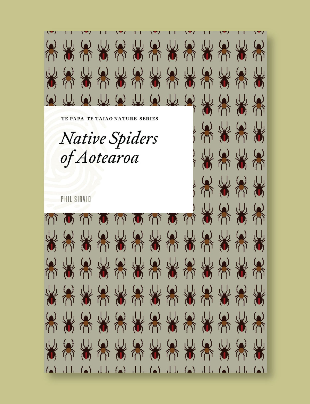 Native Spiders of Aotearoa