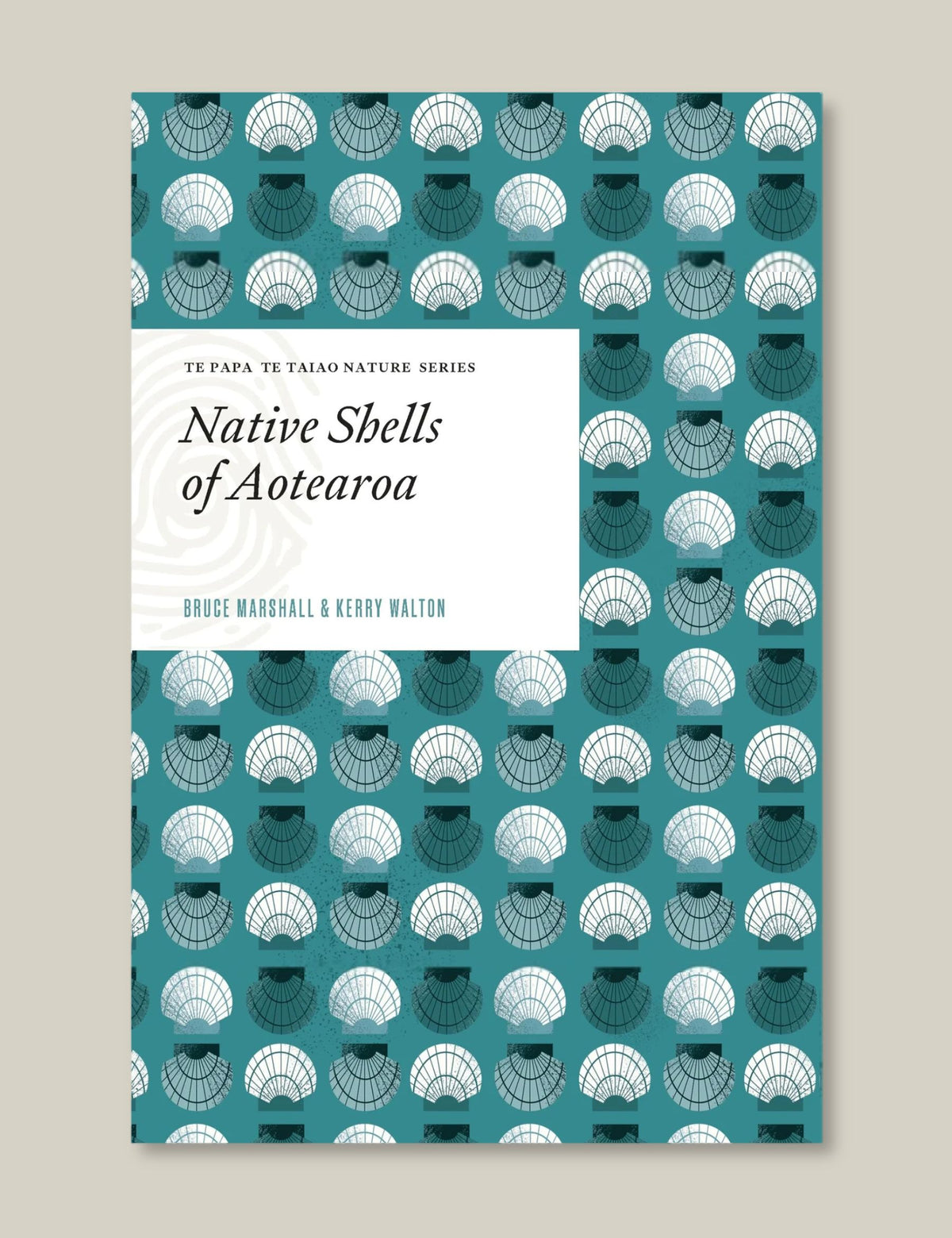 Native Shells of Aotearoa