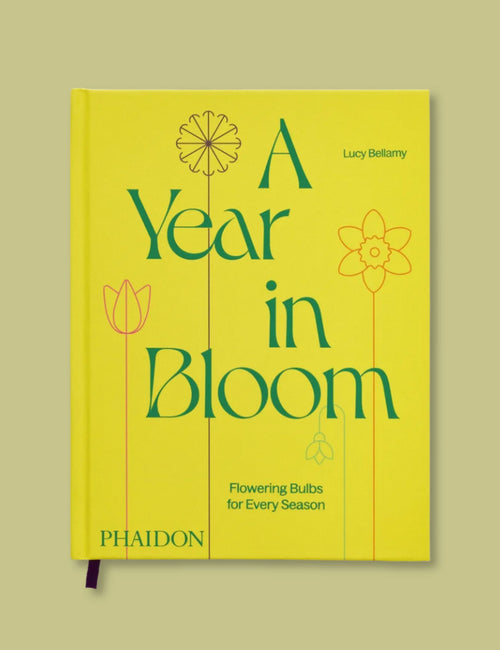 A Year in Bloom: Flowering Bulbs for Every Season