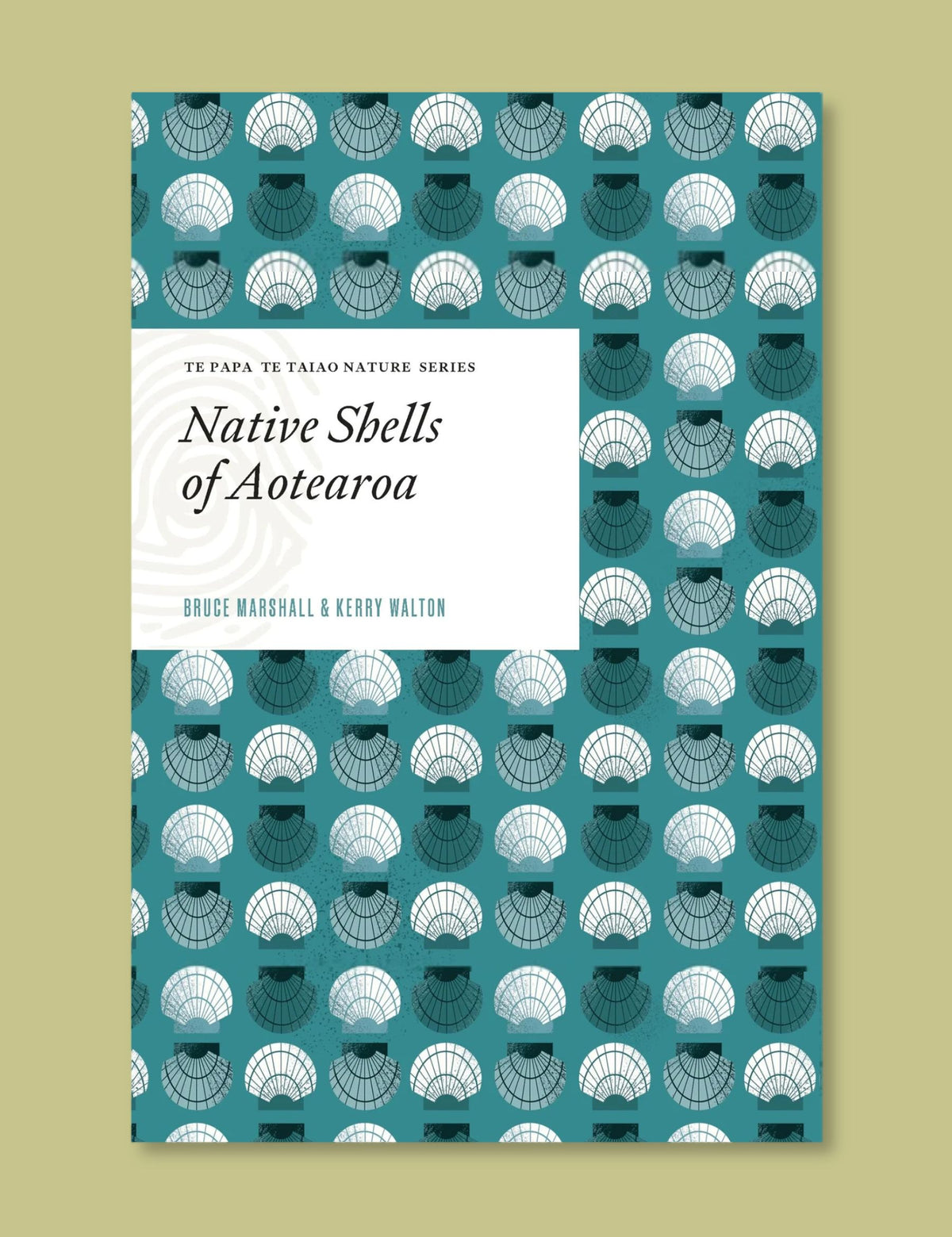 Native Shells of Aotearoa