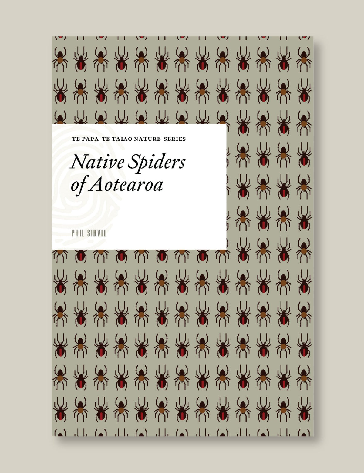 Native Spiders of Aotearoa