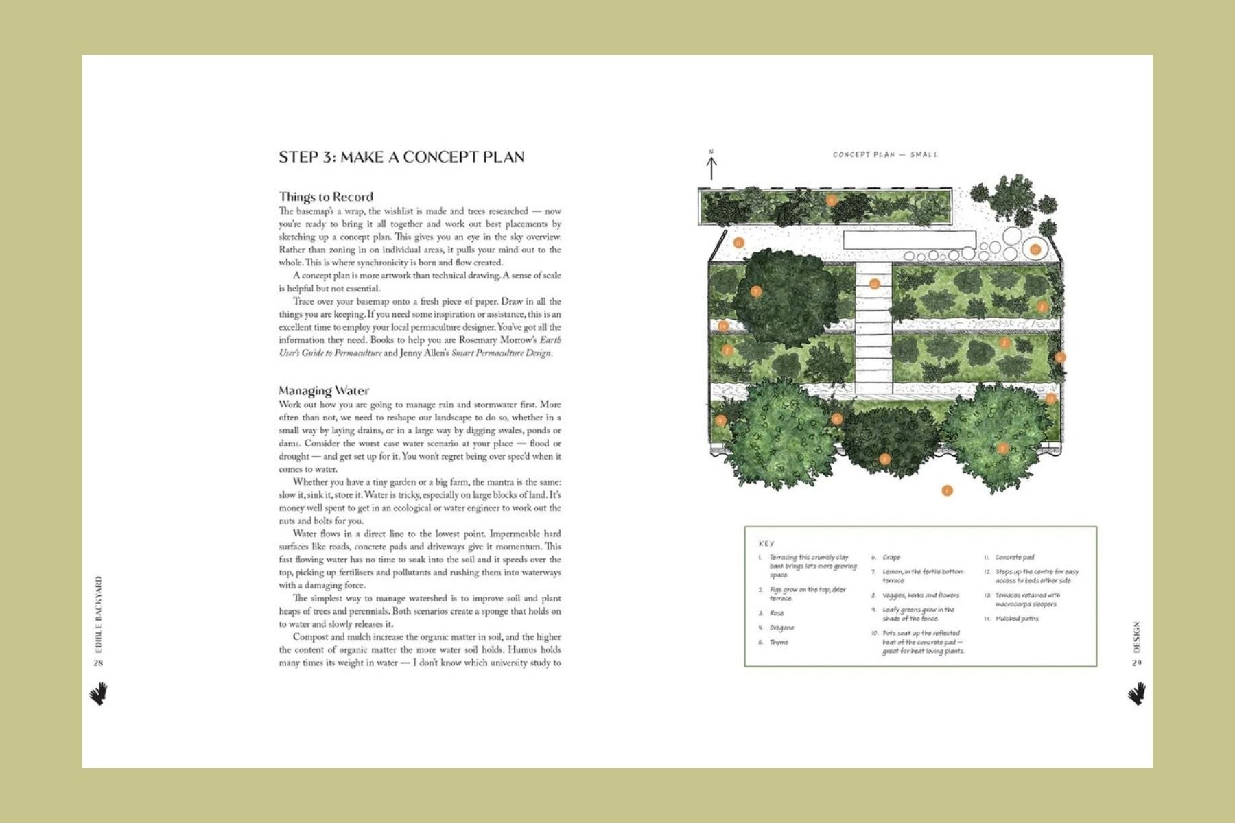 The Edible Backyard: A Practical Guide to Growing Organic Fruit & Vegetables All Year Round