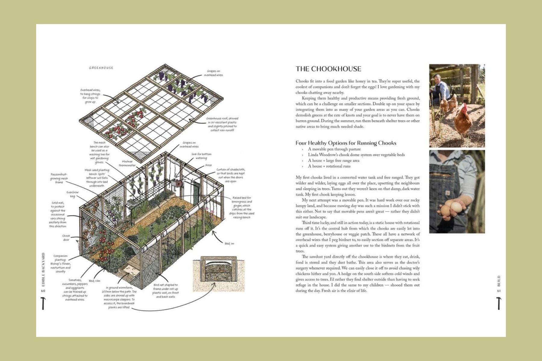 The Edible Backyard: A Practical Guide to Growing Organic Fruit & Vegetables All Year Round