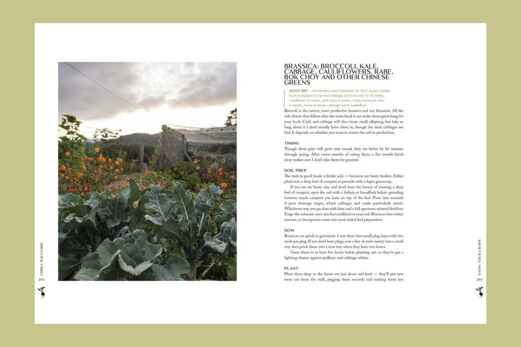 The Edible Backyard: A Practical Guide to Growing Organic Fruit & Vegetables All Year Round