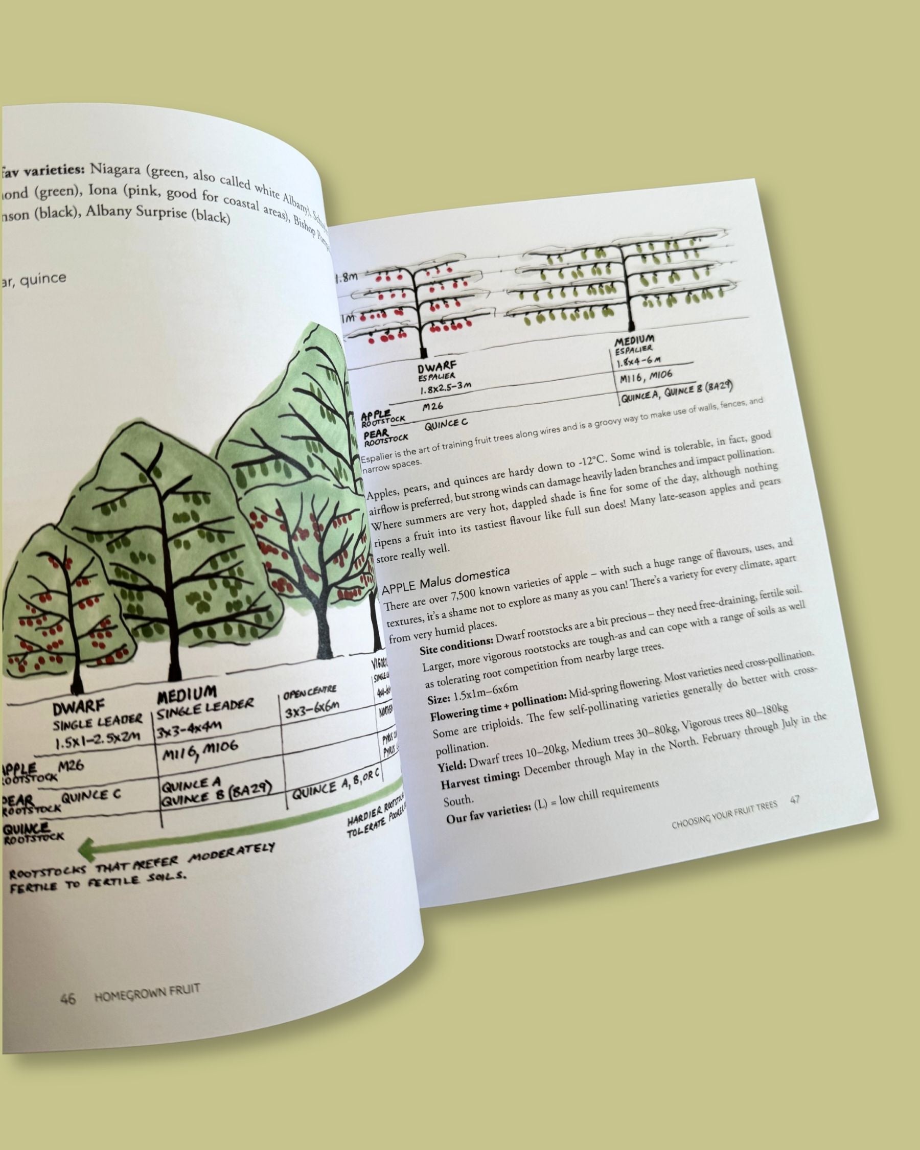 Homegrown Fruit: A Practical Guide