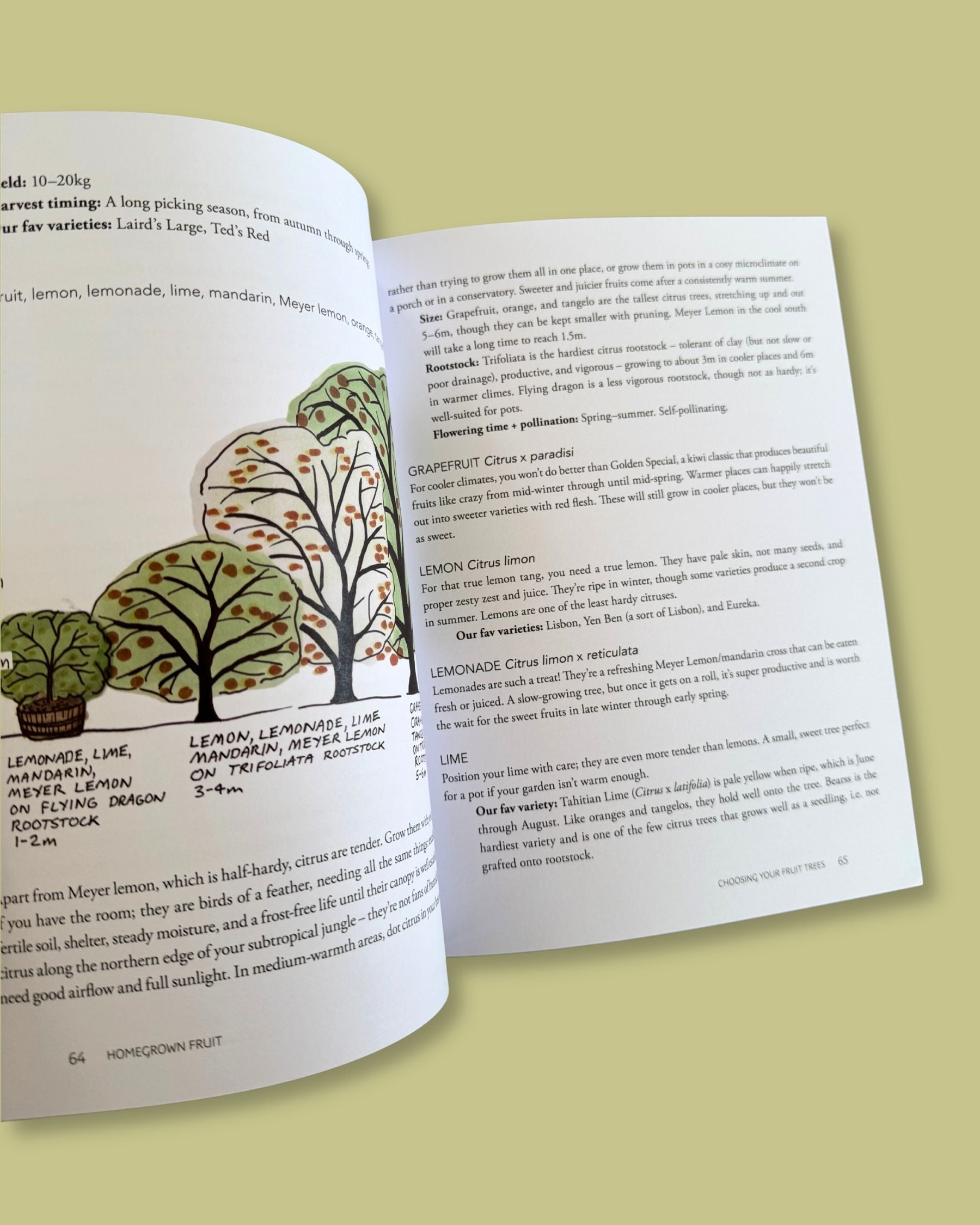 Homegrown Fruit: A Practical Guide