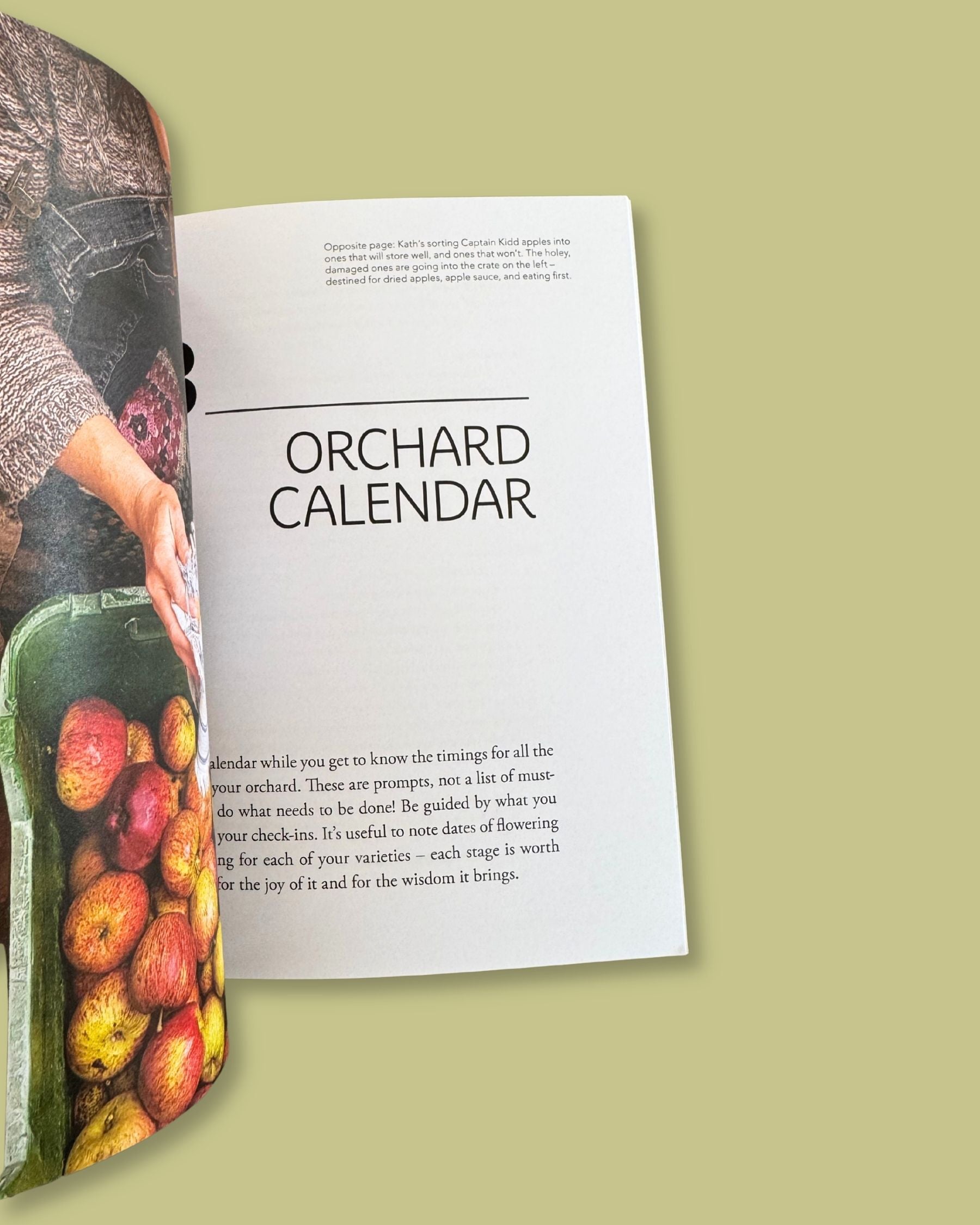 Homegrown Fruit: A Practical Guide