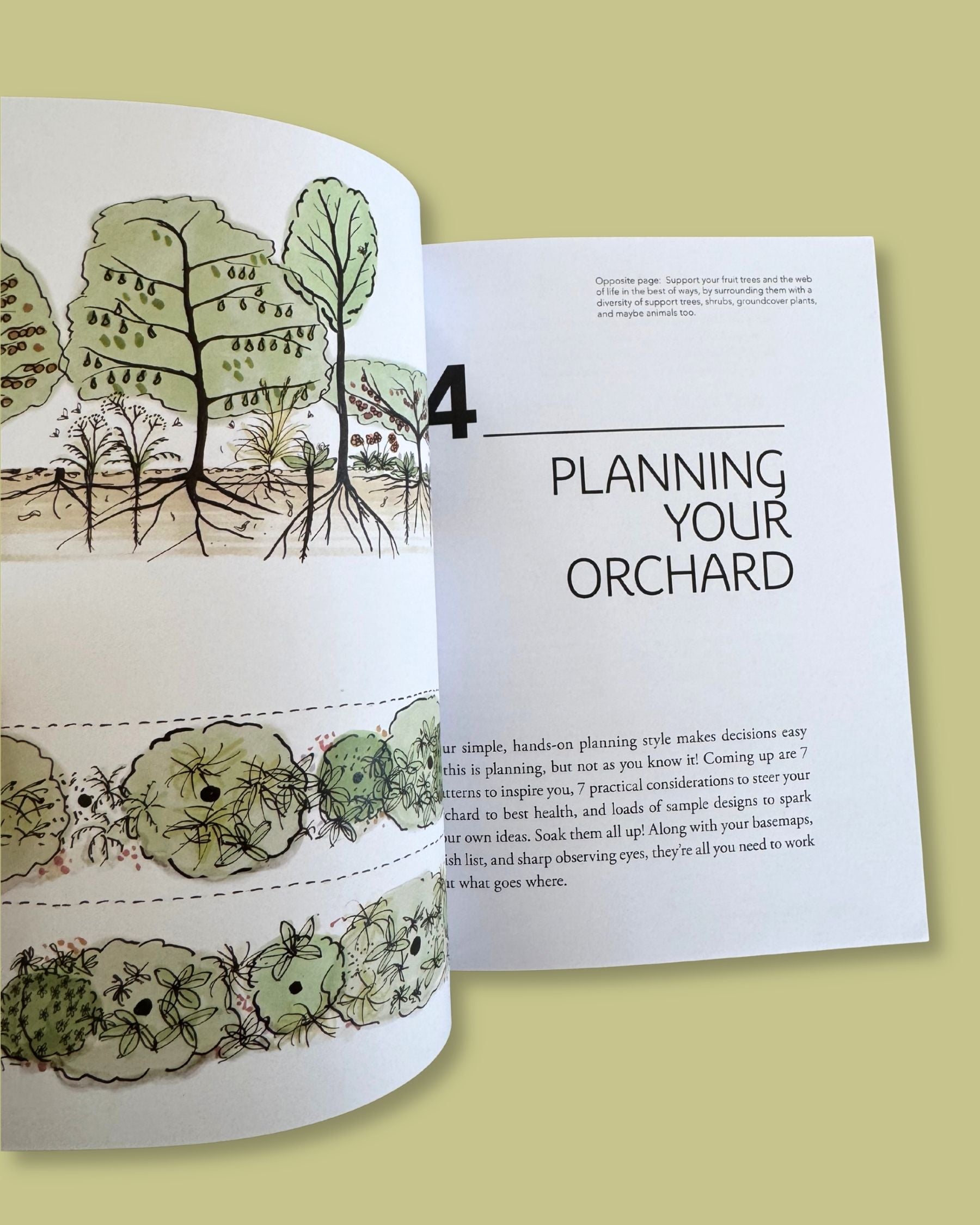 Homegrown Fruit: A Practical Guide