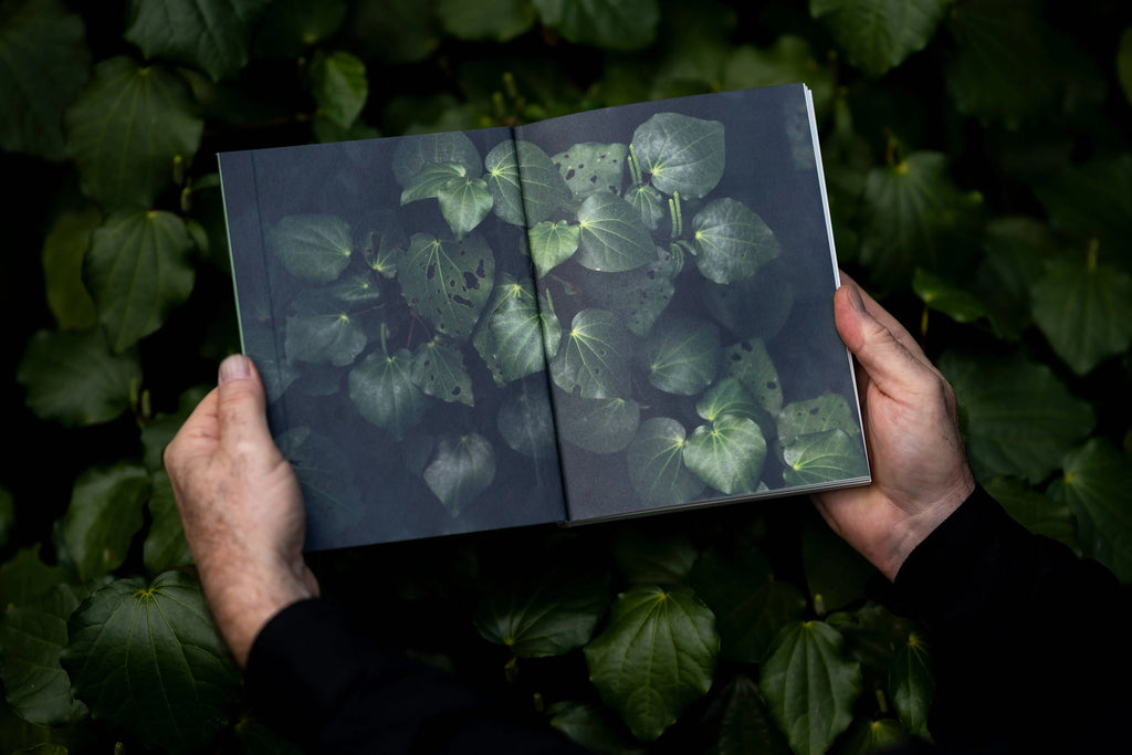 Meditations of a Landscape Architect