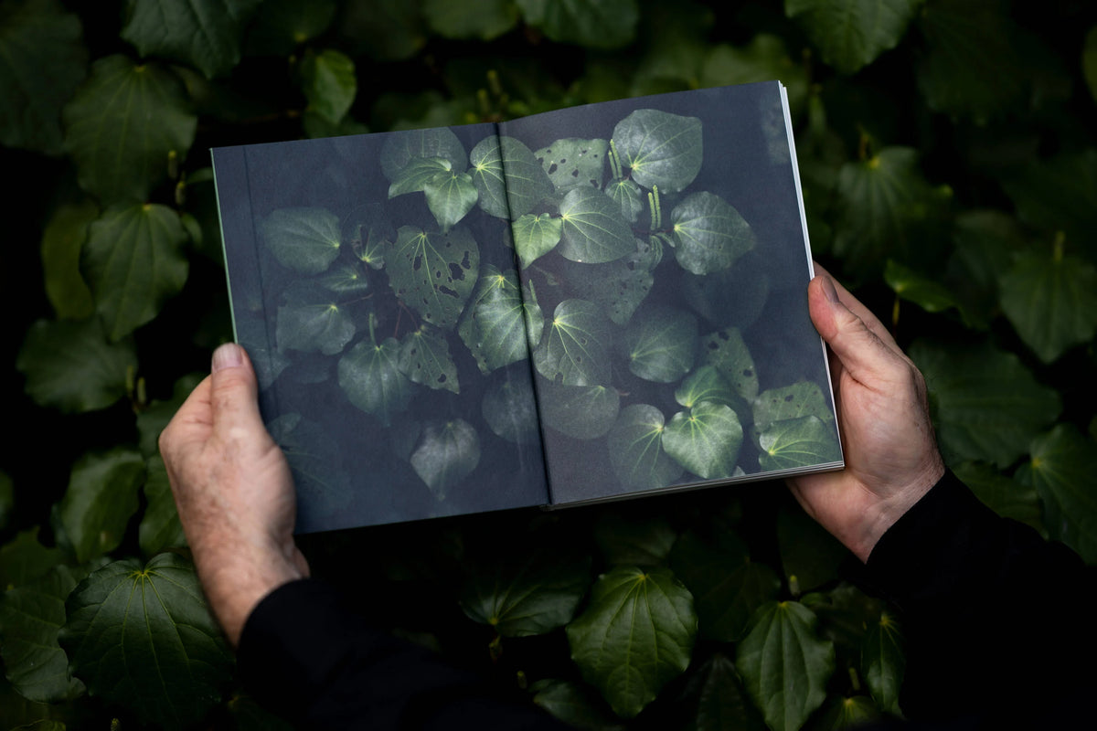 Meditations of a Landscape Architect