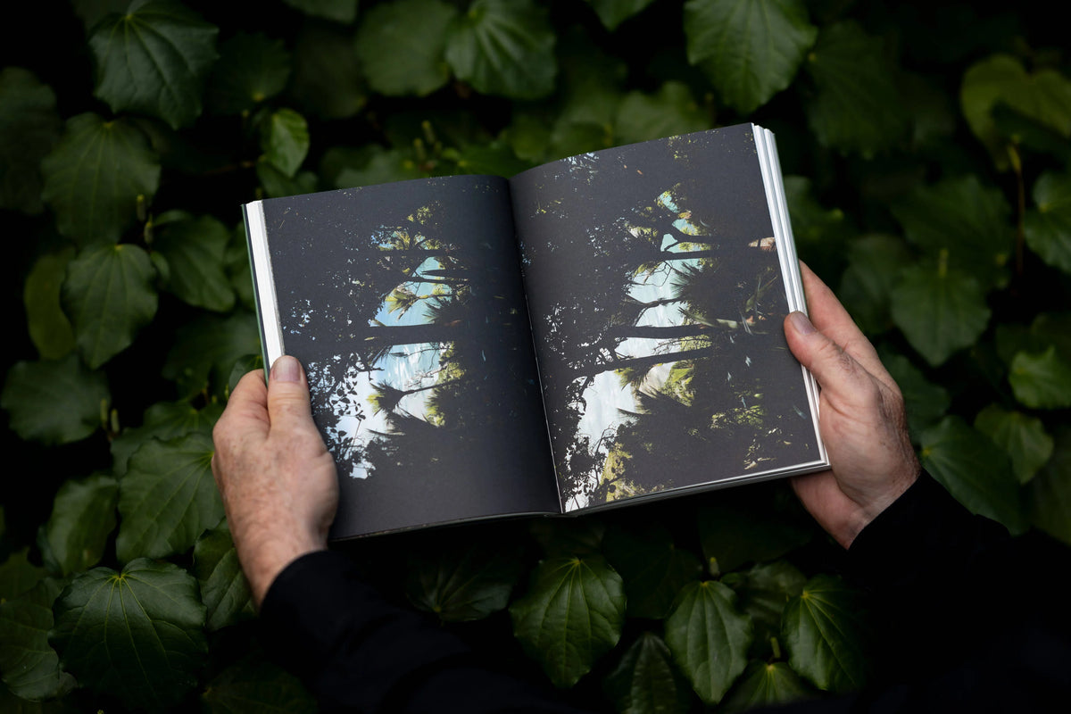 Meditations of a Landscape Architect