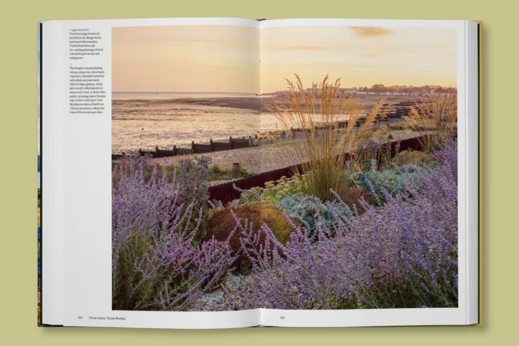 The Coastal Garden