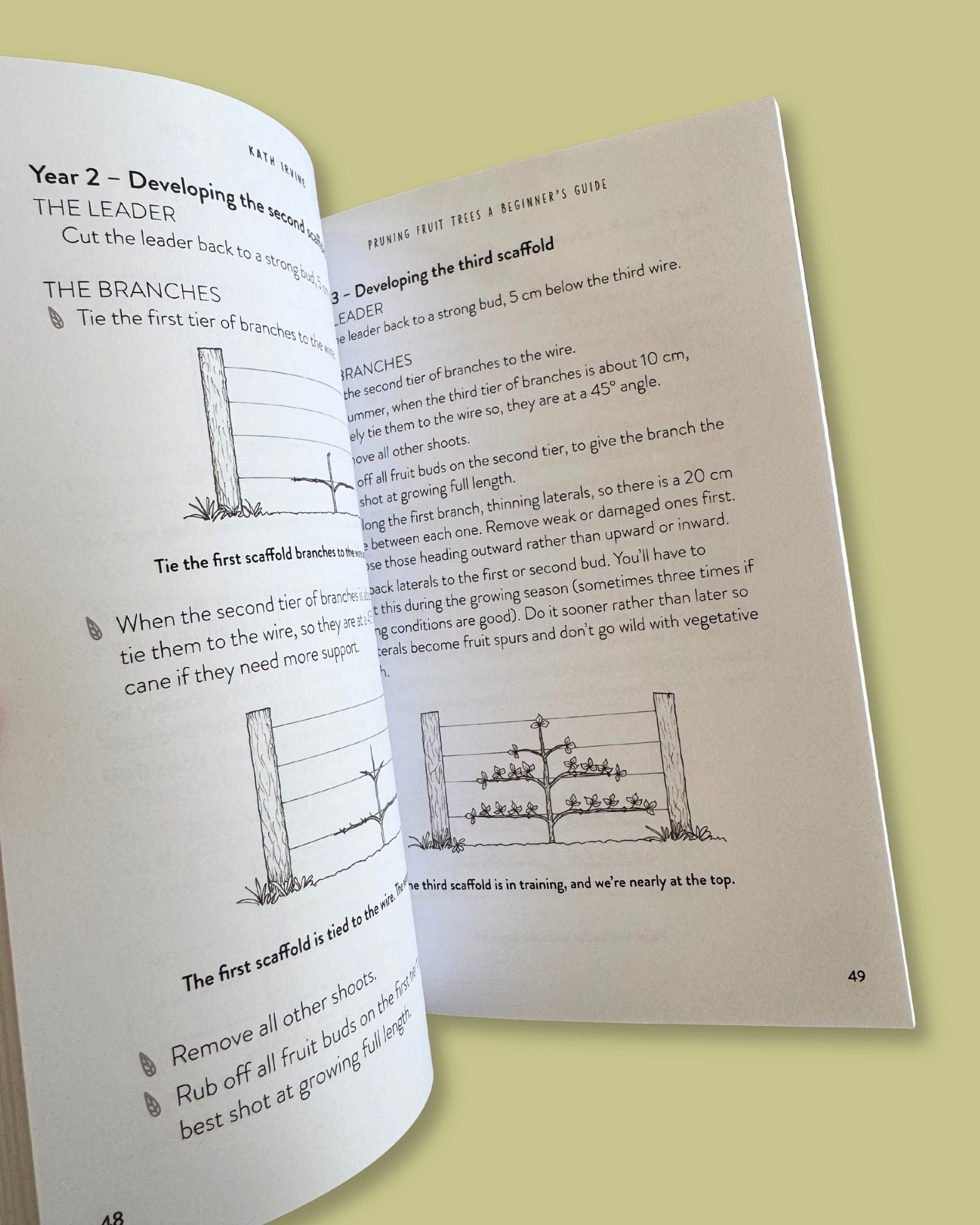Pruning Fruit Trees: A Beginner’s Guide