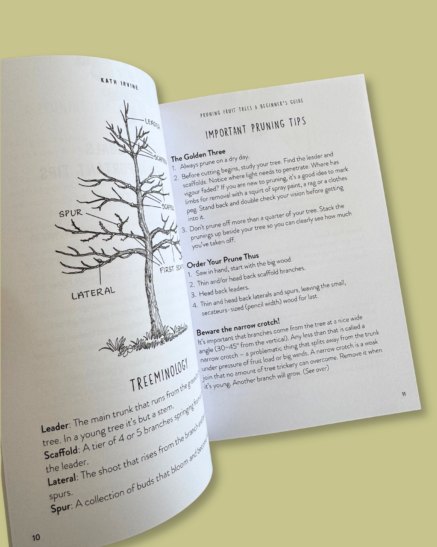 Pruning Fruit Trees: A Beginner’s Guide