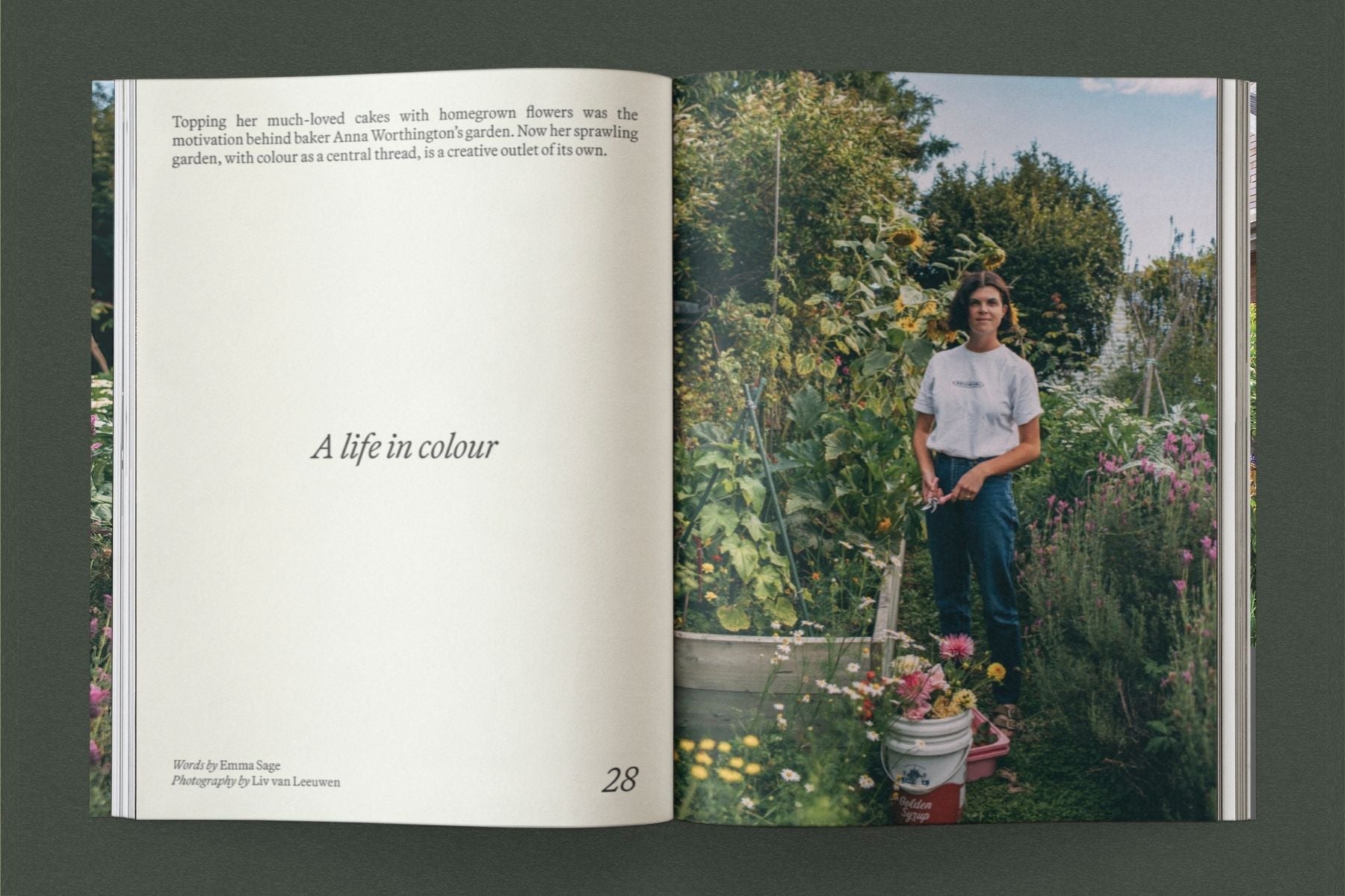 Sage – Vol. 1: Life Among Plants