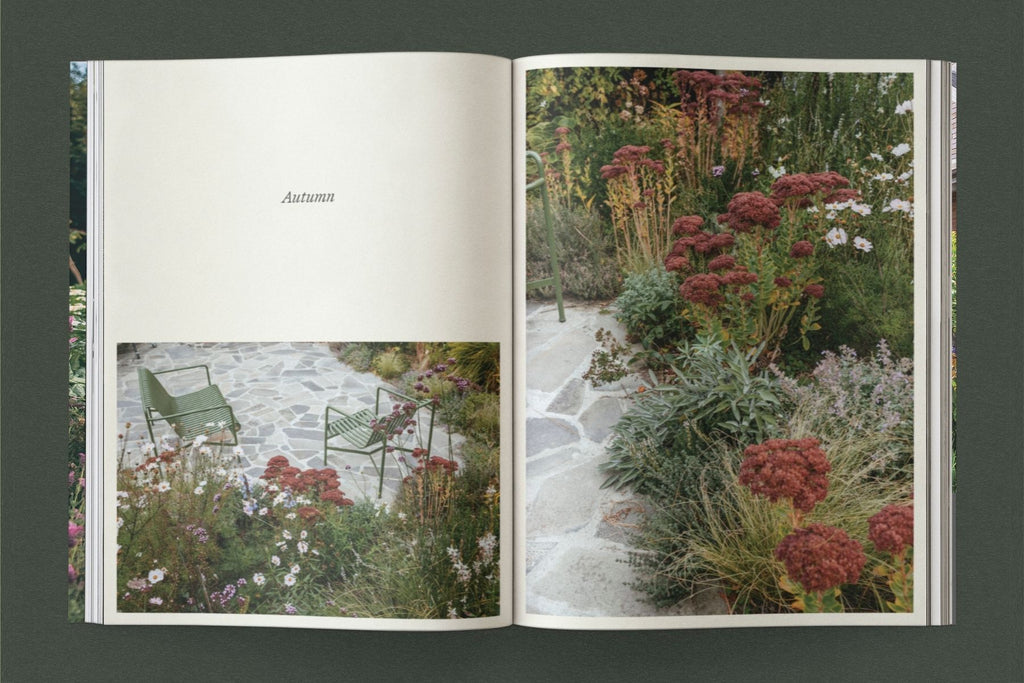 Sage – Vol. 1: Life Among Plants