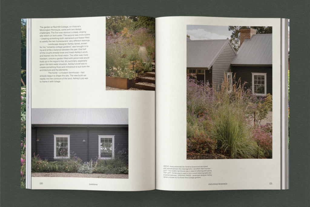 Sage – Vol. 1: Life Among Plants