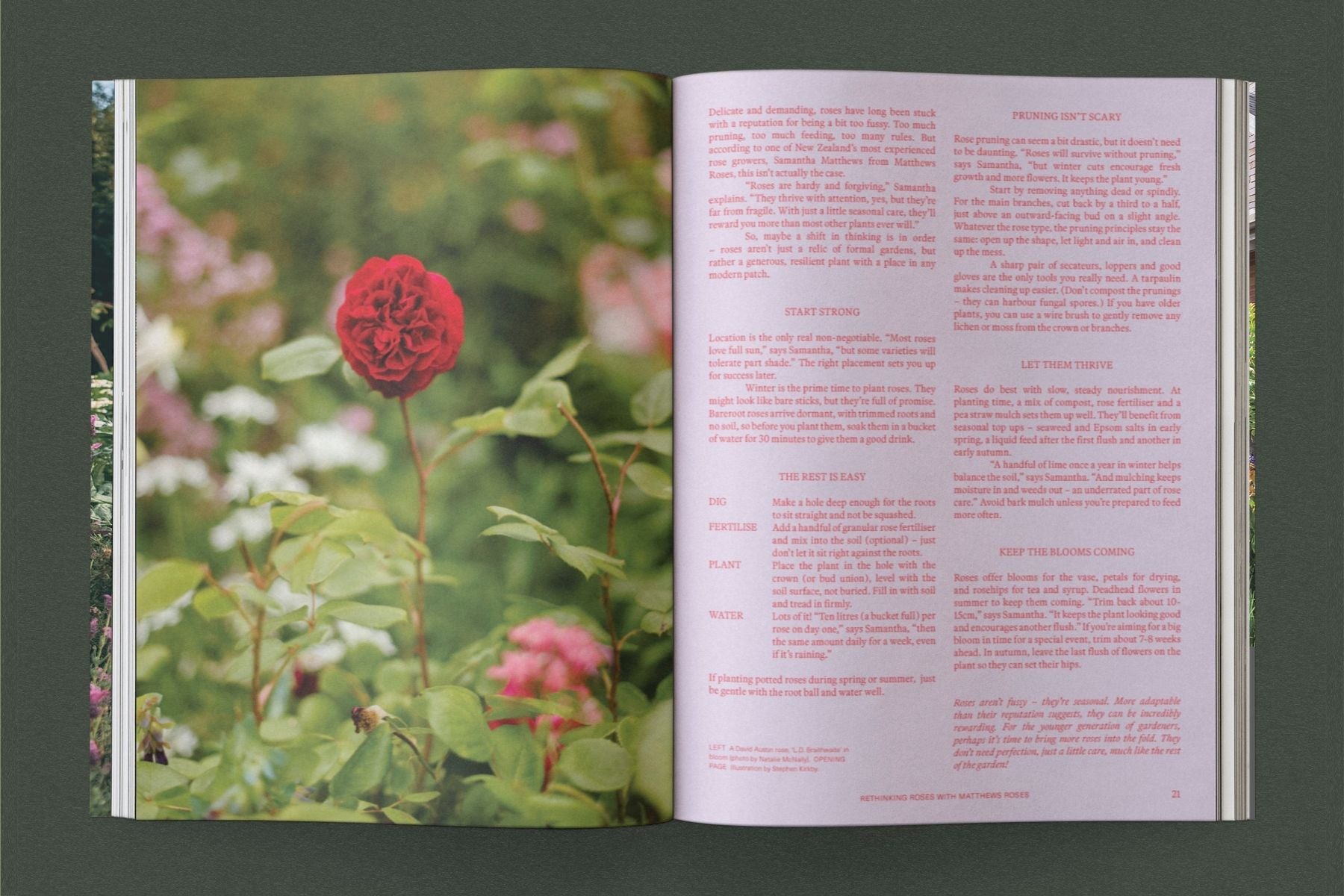 Sage – Vol. 1: Life Among Plants