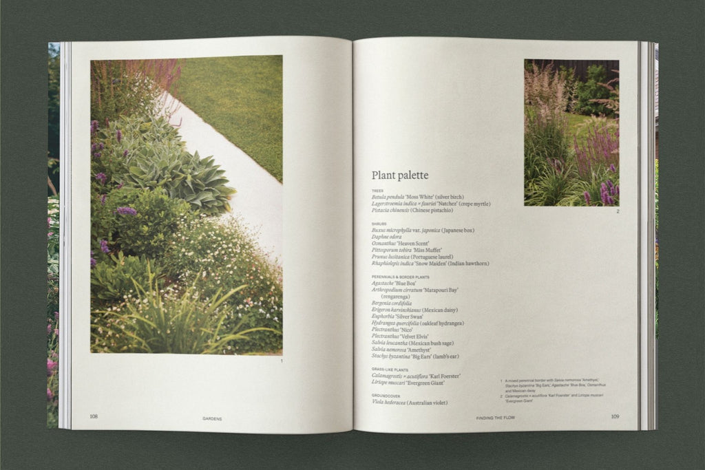 Sage – Vol. 1: Life Among Plants