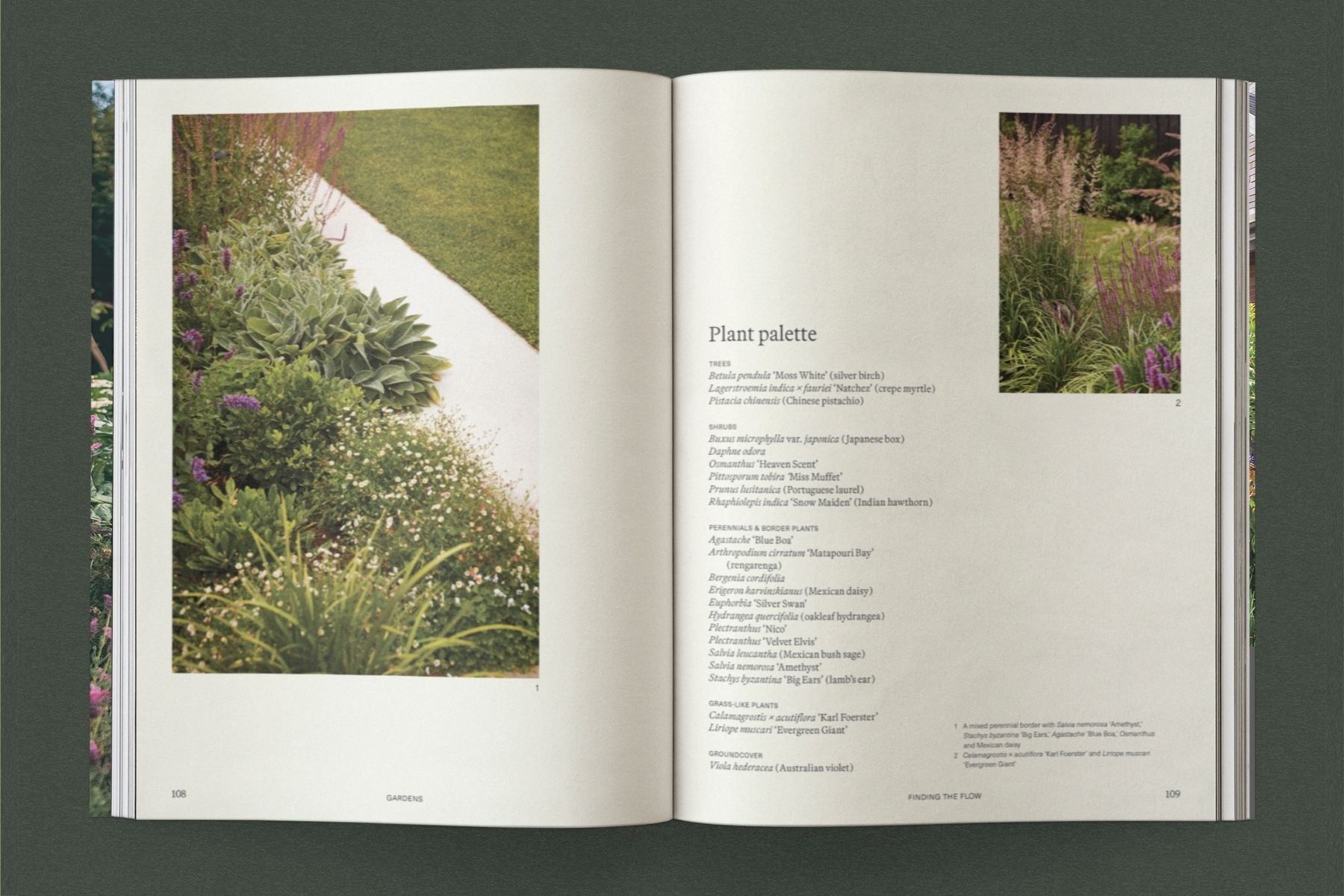 Sage – Vol. 1: Life Among Plants