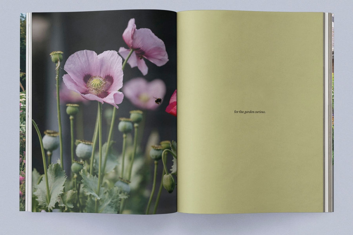 PRE-ORDER NOW Sage Vol. 2: Our Creative Nature Book Sage Journal