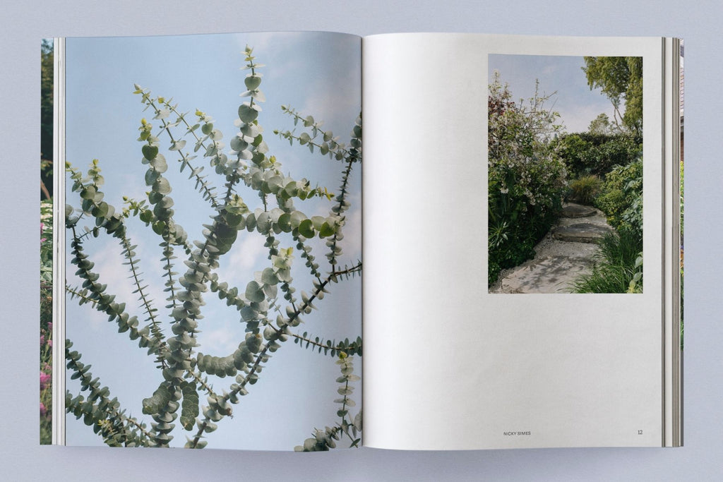 PRE-ORDER NOW Sage Vol. 2: Our Creative Nature Book Sage Journal