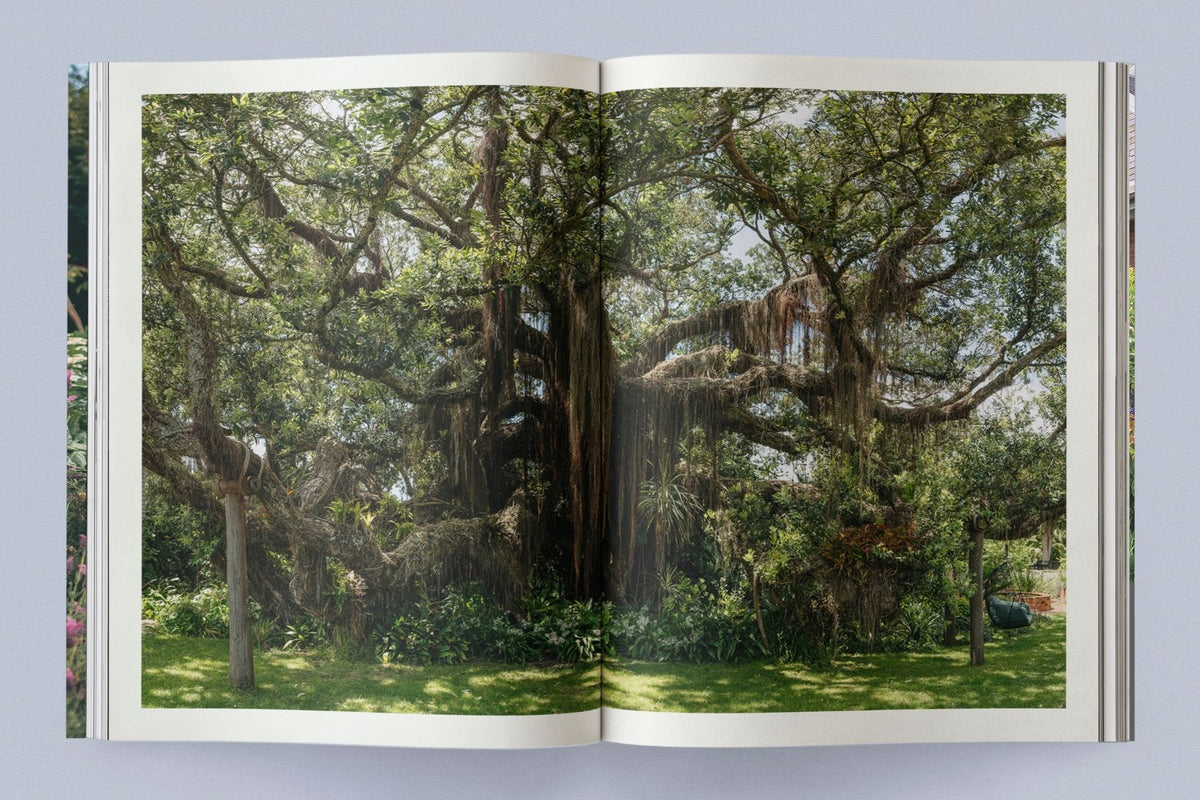 PRE-ORDER NOW Sage Vol. 2: Our Creative Nature Book Sage Journal