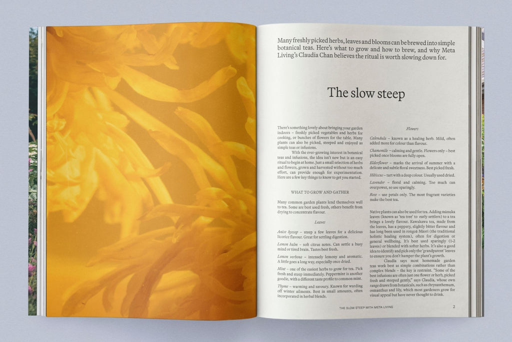 PRE-ORDER NOW Sage Vol. 2: Our Creative Nature Book Sage Journal