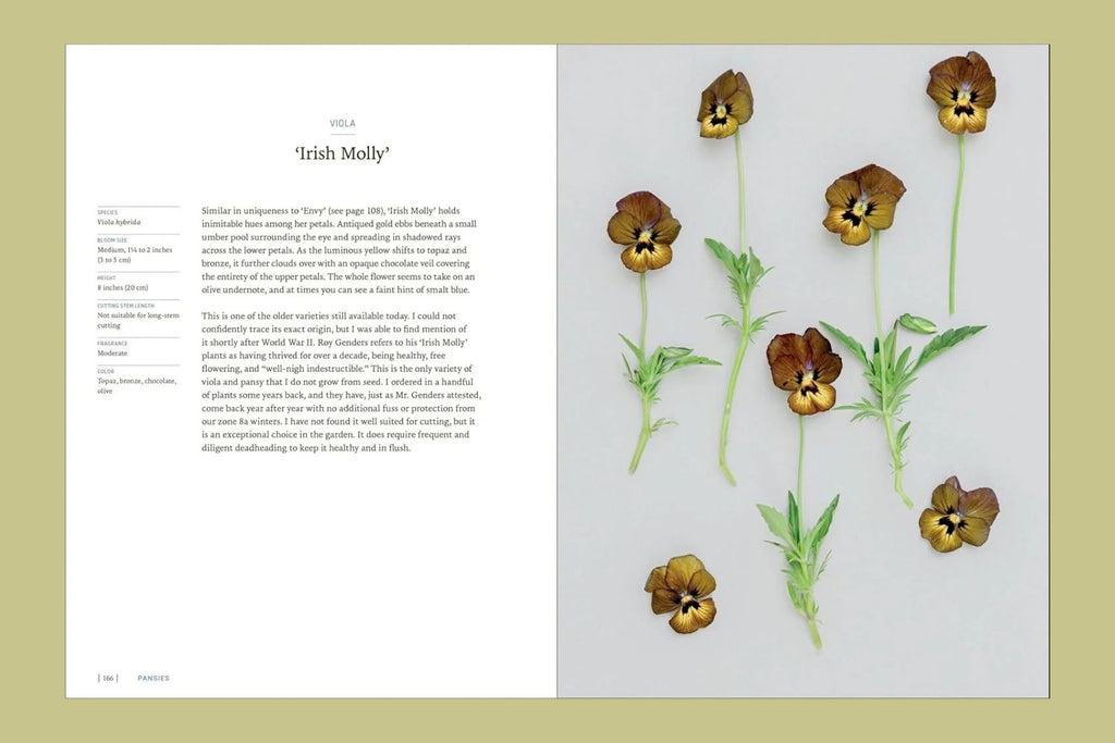 Pansies: How To Grow, Reimagine, & Create Beauty With Pansies & Violas