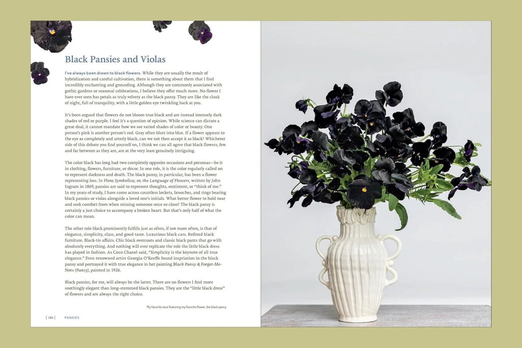 Pansies: How To Grow, Reimagine, & Create Beauty With Pansies & Violas