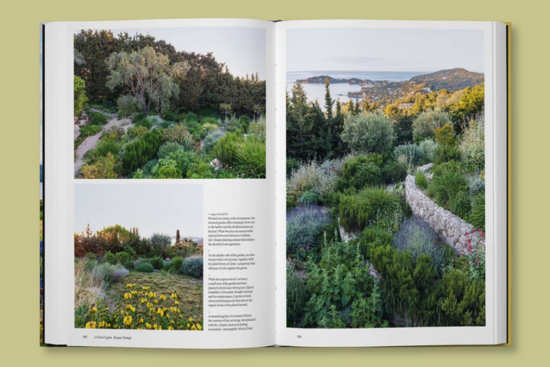 The Coastal Garden